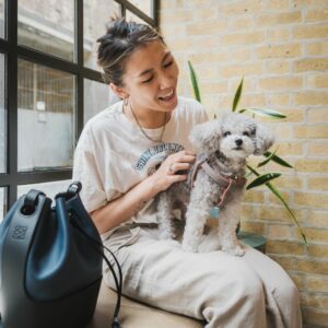 pet friendly apartments